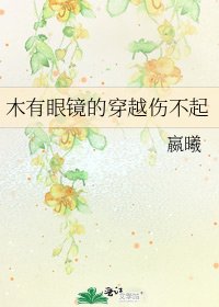 木有眼鏡的穿越傷不起