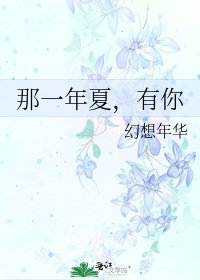 那一年夏,有你