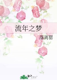 流年之梦