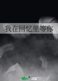 我在回憶裡等你