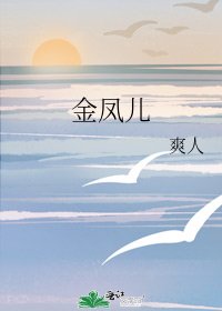 金凤儿