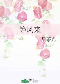 等风来