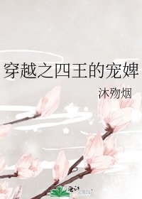 穿越之四王的宠婢