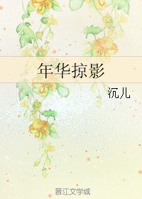 《年华掠影》