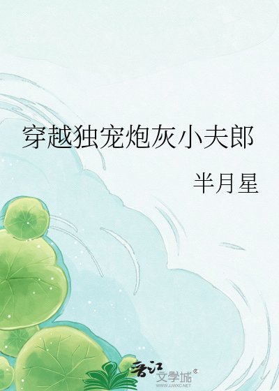 穿越獨寵袍灰小夫郎