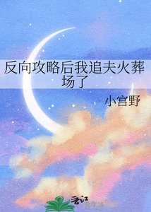 反向攻略後我追夫火葬場了