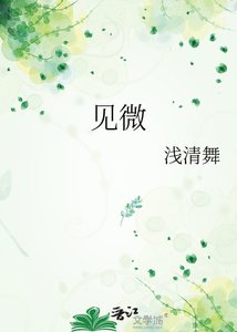 见微