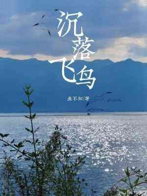 《沉落飞鸟》