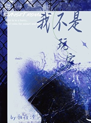 我真不是玩家啊