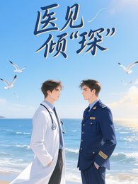 《医见倾琛》