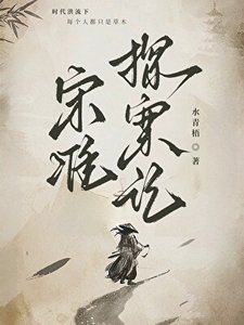 宋準探案記