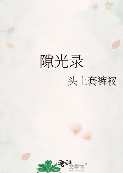 隙光录