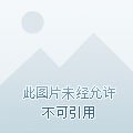 那年那月那捧