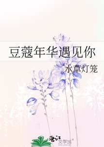 豆蔻年華遇見你