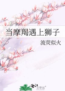 当摩羯遇上狮子