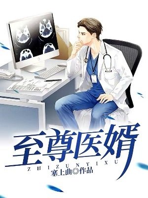《至尊醫婿》