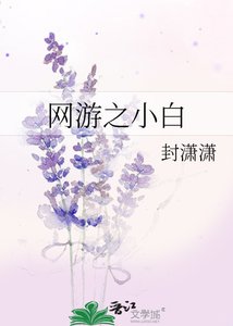 网游之小白