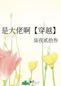 是大佬啊【穿越】