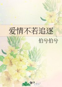 《爱情不若追逐》