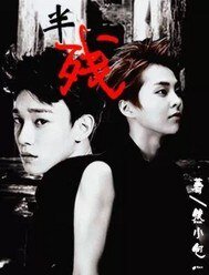 (BL/EXO同人)半残