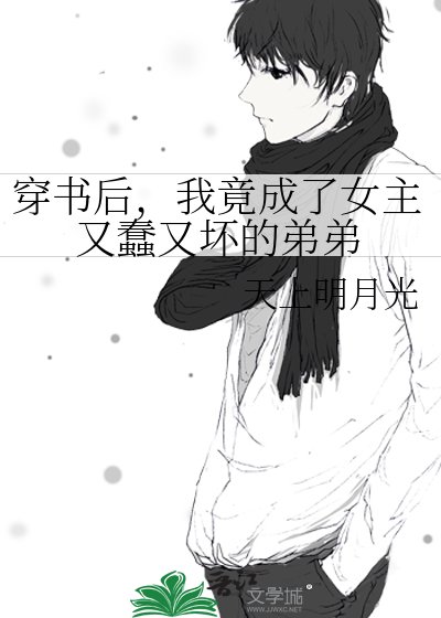 穿書硕,我竟成了女主又蠢又胡的敌敌