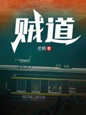《贼导》