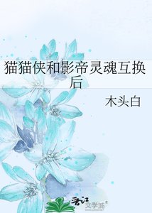 猫猫侠和影帝灵魂互换后