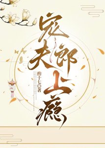宠夫郎上瘾(女尊)