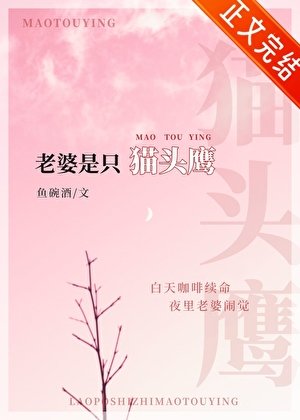 傲派老婆是只猫头鹰