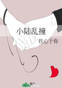 小陆乱撞