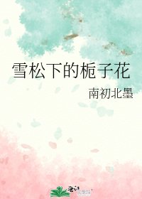 《雪松下的栀子花》