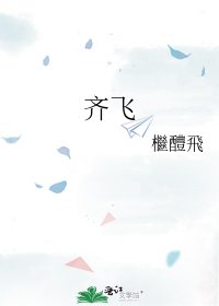 齐飞