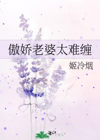 傲娇老婆太难缠