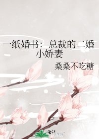 一纸婚书:总裁的二婚小娇妻
