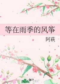 等在雨季的風箏