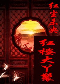 (红楼同人)红楼大丫鬟