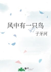 风中有一只鸟