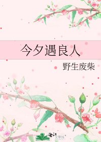 今夕遇良人