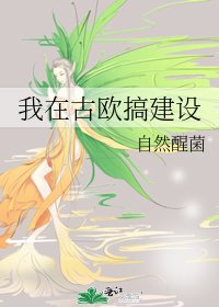 我在古欧搞建设