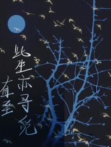 直至此生亦寻觅