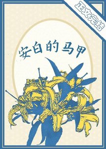 《安稗的马甲》