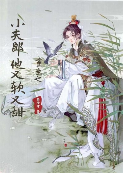 重生之小夫郎他又瘟又甜