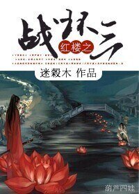 《(红楼同人)红楼之战环三》