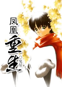 (HP同人)HP之凤凰重生