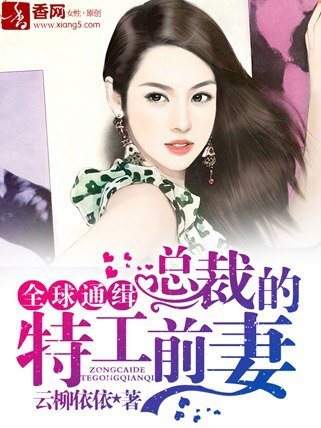 全球通缉;总裁的特工前妻