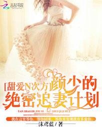 甜愛N次方:顏少的絕密追妻計劃