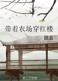 (BG/红楼同人)带着农场穿红楼
