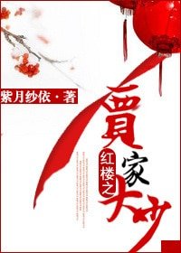 (BL/红楼同人)红楼之贾家大少