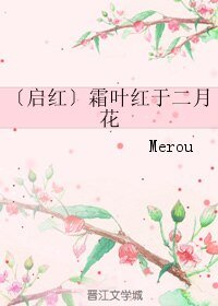 (BL/老九門同人)〔啟紅〕霜葉紅於二月花